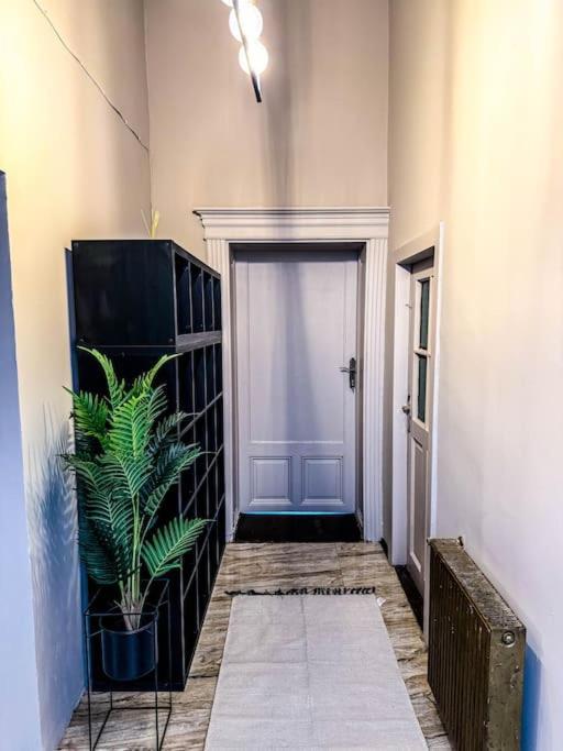 Appartement Cozy & Charming Apt. Downtown à Timişoara Extérieur photo